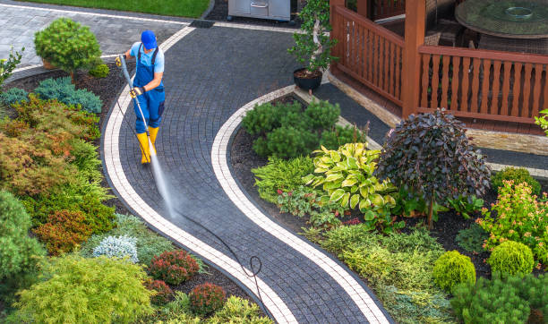 Best Roof Pressure Washing  in Alice, TX